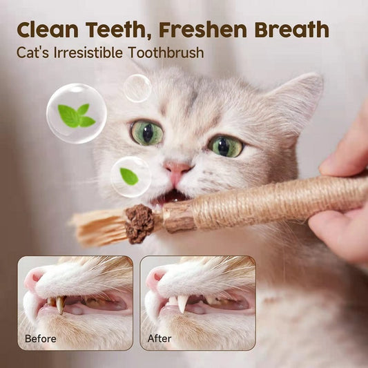 (🌲Early Christmas Sale- 49% OFF) Natural Silvervine Stick Cat Chew Toy